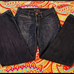 Ann Taylor Blue Jeans, size 2